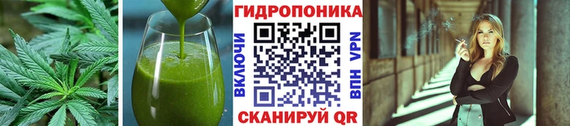 купить наркотики цена  blacksprut рабочий сайт  Печенье с ТГК конопля  Курган 