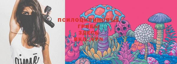 кокс Нея