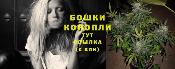 сатива Ладушкин