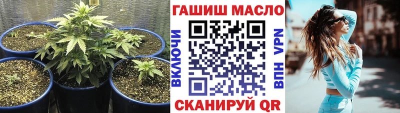 купить  сайты  Курган  Дистиллят ТГК концентрат 