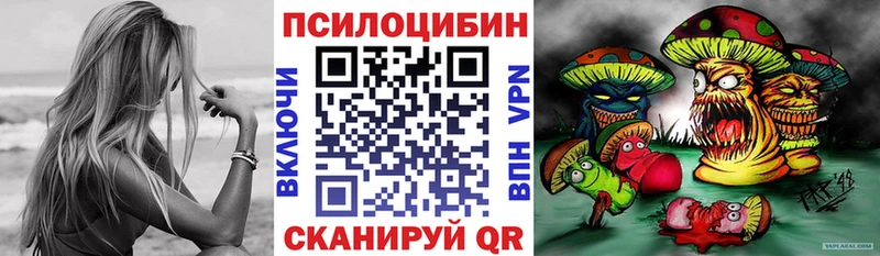 где продают наркотики  Курган  Галлюциногенные грибы GOLDEN TEACHER 