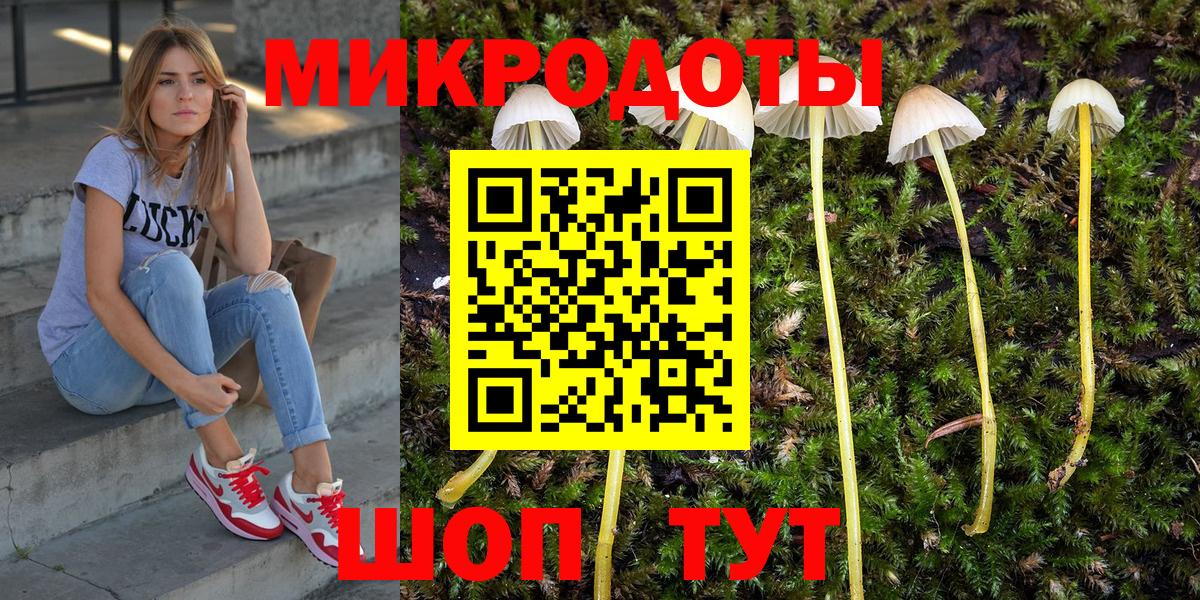 Курган  Псилоцибиновые грибы мухоморы  где можно купить наркотик  Вход с VPN 