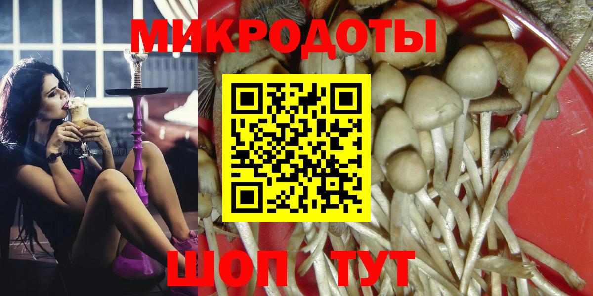Псилоцибиновые грибы Psilocybine cubensis Курган
