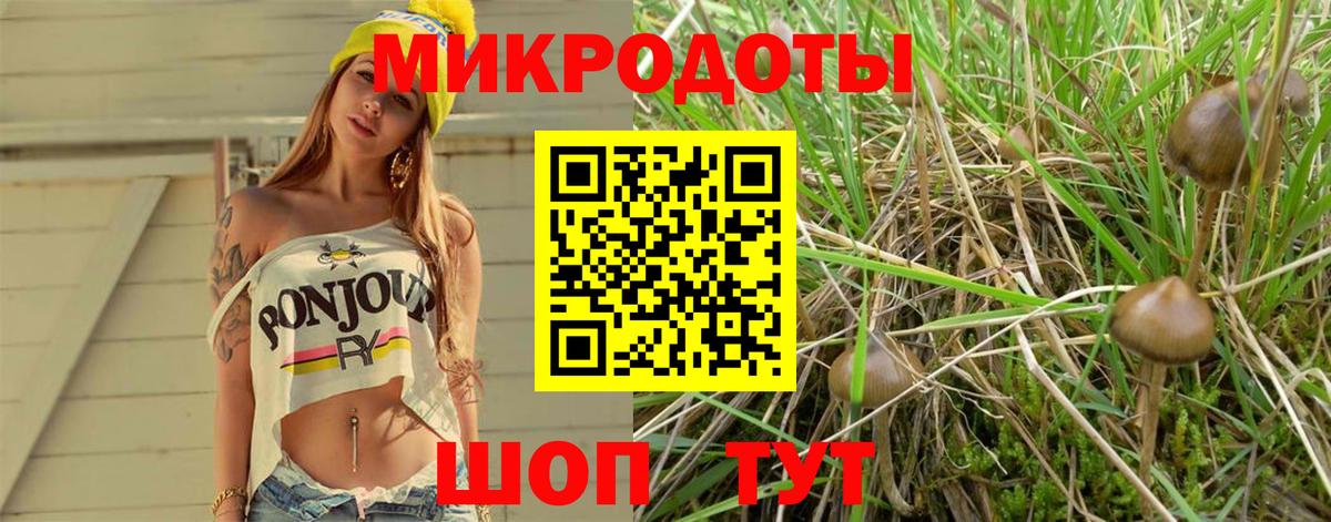 Псилоцибиновые грибы мухоморы Курган