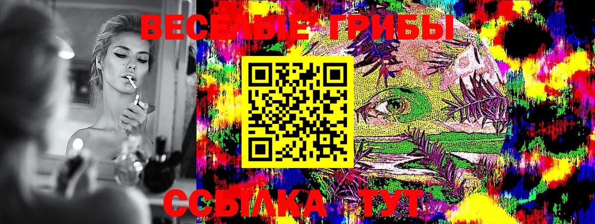 Галлюциногенные грибы Psilocybe  Курган 